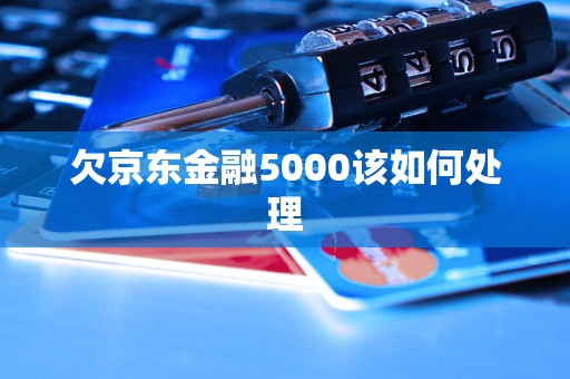 欠京東金融5000該如何處理