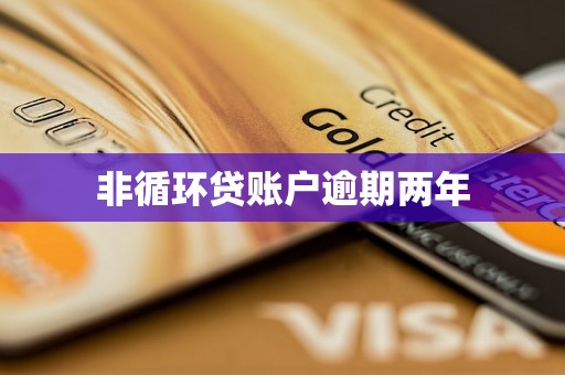 非循环贷账户逾期两年
