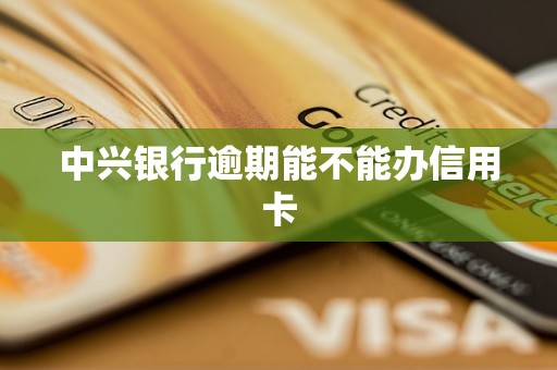 中興銀行逾期能不能辦信用卡