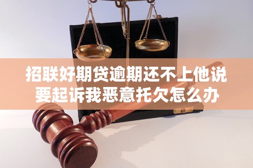 招聯(lián)好期貸逾期還不上他說(shuō)要起訴我惡意托欠怎么辦