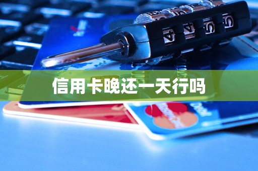 信用卡晚还一天行吗 信用卡晚还一天行吗