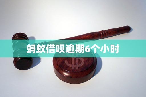 螞蟻借唄逾期6個小時