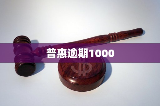 普惠逾期1000