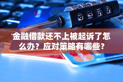 金融借款還不上被起訴了怎么辦？應對策略有哪些？