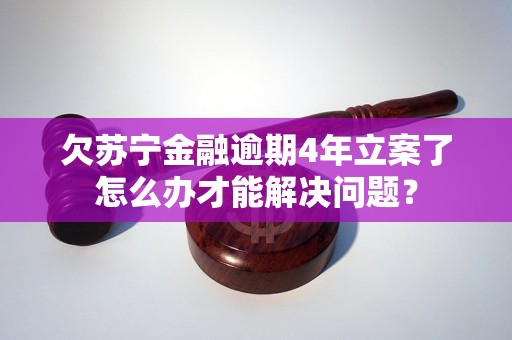 欠蘇寧金融逾期4年立案了怎么辦才能解決問題？