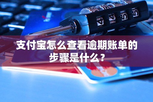 支付寶怎么查看逾期賬單的步驟是什么？