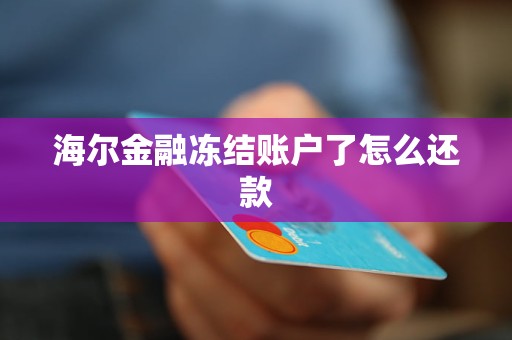 海爾金融凍結賬戶了怎么還款