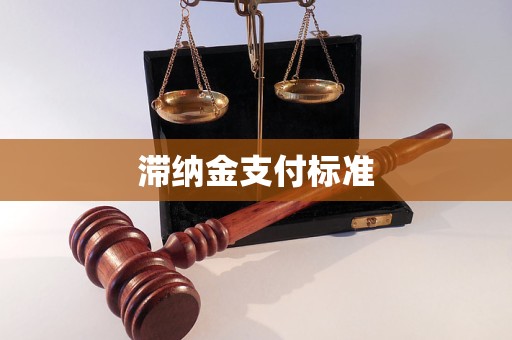 滯納金支付標準