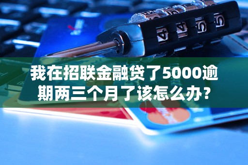 我在招聯(lián)金融貸了5000逾期兩三個月了該怎么辦？