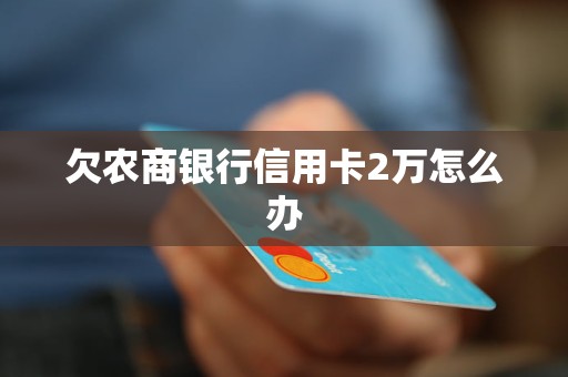 欠農(nóng)商銀行信用卡2萬怎么辦