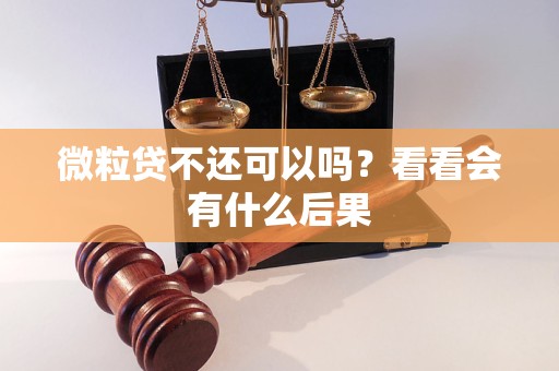 微粒貸不還可以嗎？看看會有什么后果