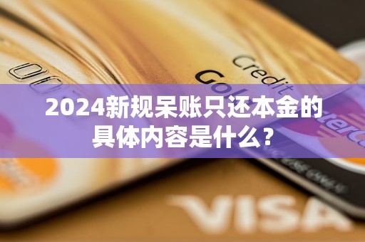 2024新規(guī)呆賬只還本金的具體內(nèi)容是什么？