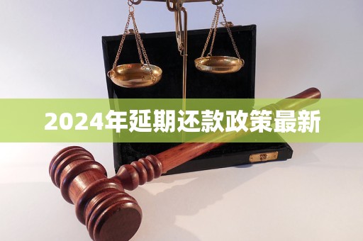 2024年延期還款政策最新