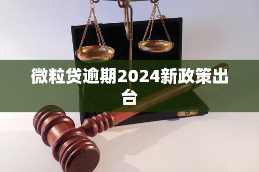 微粒貸逾期2024新政策出臺