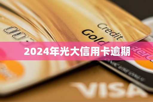 2024年光大信用卡逾期