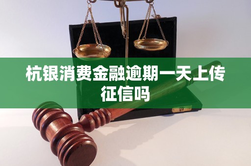 杭銀消費金融逾期一天上傳征信嗎