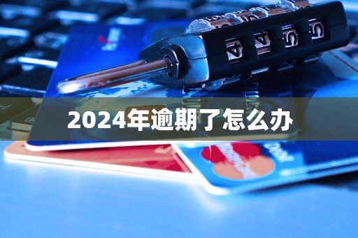 2024年逾期了怎么辦