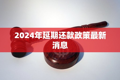 2024年延期還款政策最新消息