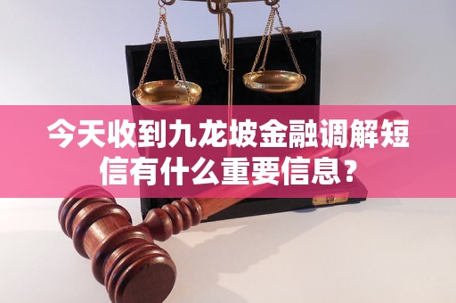 今天收到九龍坡金融調(diào)解短信有什么重要信息？