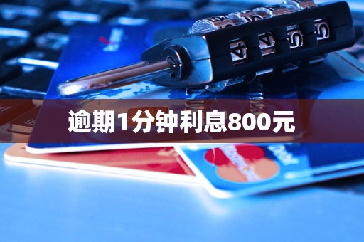 逾期1分鐘利息800元