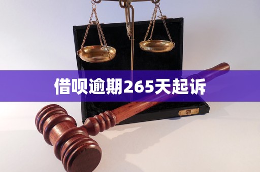 借唄逾期265天起訴