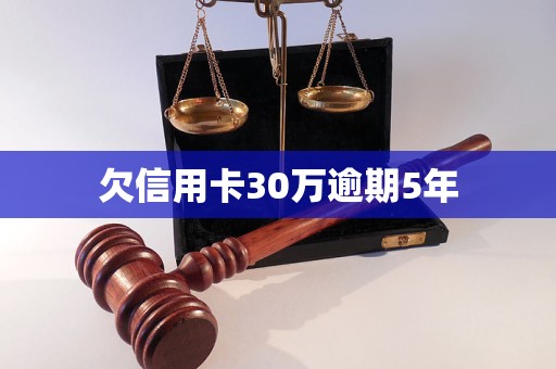 欠信用卡30萬逾期5年