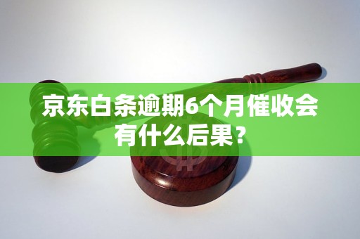 京東白條逾期6個月催收會有什么后果？