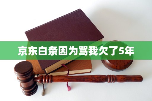 京東白條因?yàn)榱R我欠了5年