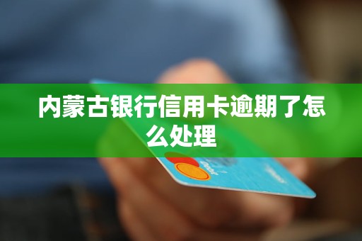 內(nèi)蒙古銀行信用卡逾期了怎么處理