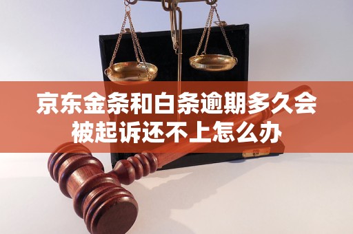 京東金條和白條逾期多久會被起訴還不上怎么辦