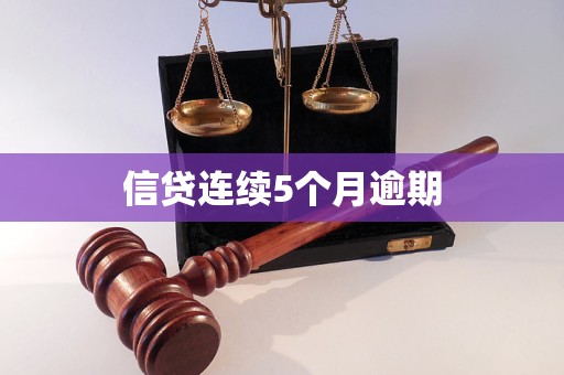 信貸連續(xù)5個月逾期