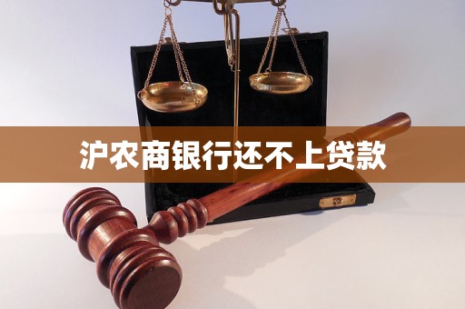 滬農(nóng)商銀行還不上貸款