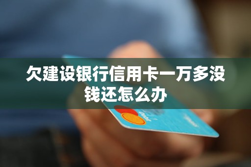 欠建設銀行信用卡一萬多沒錢還怎么辦