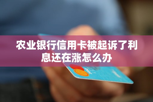 農(nóng)業(yè)銀行信用卡被起訴了利息還在漲怎么辦