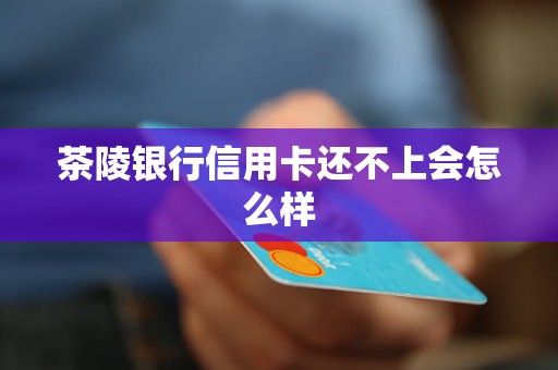 茶陵銀行信用卡還不上會(huì)怎么樣