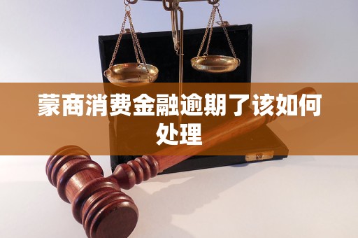 蒙商消費金融逾期了該如何處理