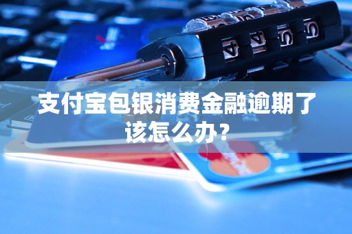 支付寶包銀消費(fèi)金融逾期了該怎么辦？