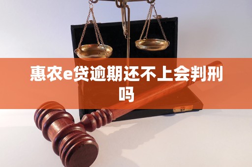 惠農(nóng)e貸逾期還不上會判刑嗎