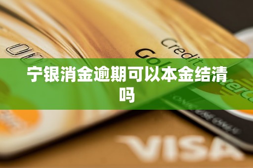 寧銀消金逾期可以本金結(jié)清嗎