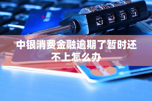 中银消费金融逾期了暂时还不上怎么办