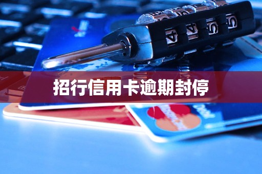 招商银行信用卡人工服务电话为什么打不进(招商银行信用卡人工服务电话为什么打不进去)