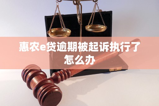 惠農(nóng)e貸逾期被起訴執(zhí)行了怎么辦