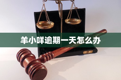羊小咩逾期一天怎么办