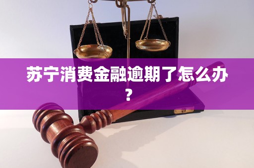 蘇寧消費(fèi)金融逾期了怎么辦？