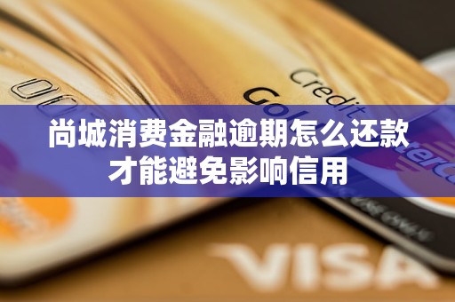 尚城消費金融逾期怎么還款才能避免影響信用