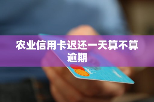 農(nóng)業(yè)信用卡遲還一天算不算逾期