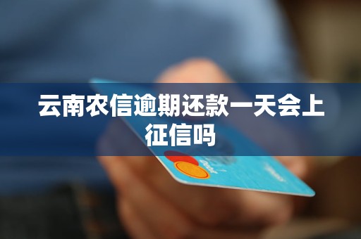 云南農(nóng)信逾期還款一天會上征信嗎