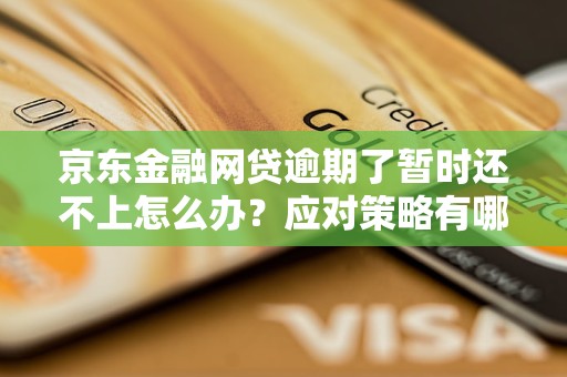 京東金融網(wǎng)貸逾期了暫時還不上怎么辦？應(yīng)對策略有哪些？