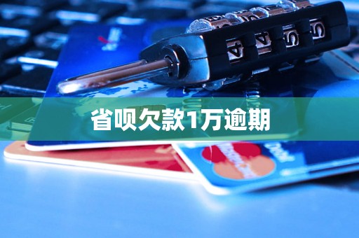 省呗欠款1万逾期