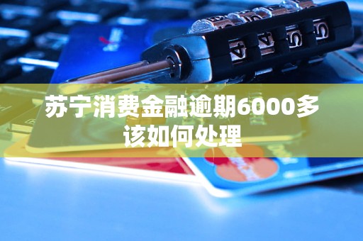 蘇寧消費(fèi)金融逾期6000多該如何處理